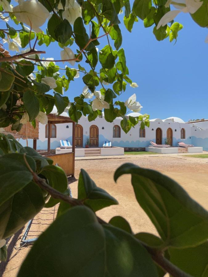 Отель Dolphin Camp Дахаб Экстерьер фото